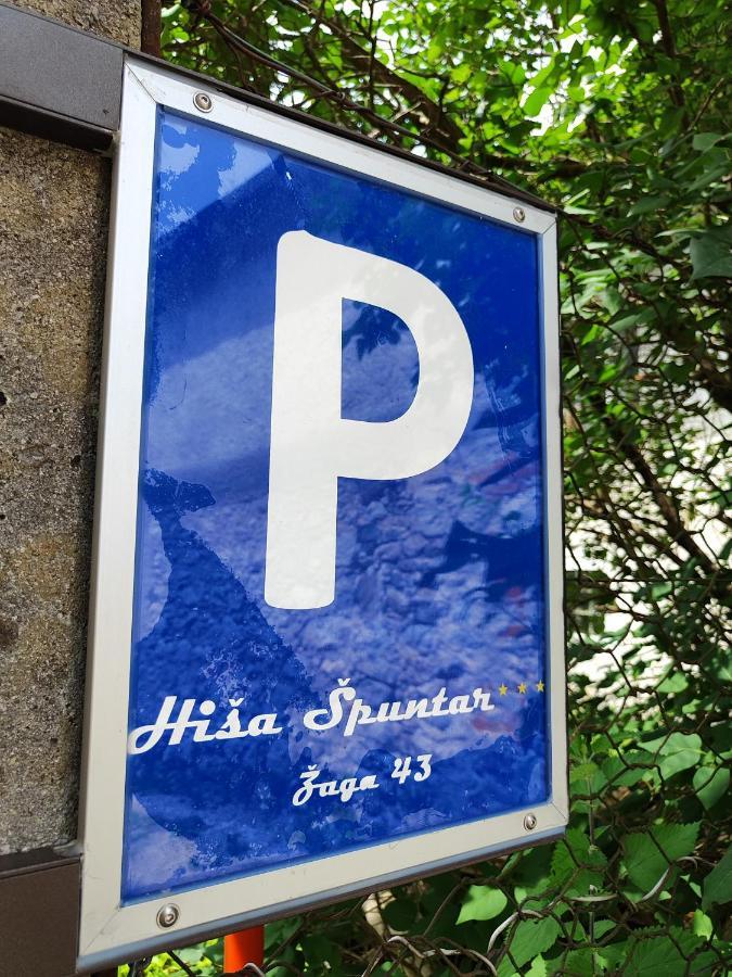 Apartmán Hisa Spuntar Bovec Exteriér fotografie